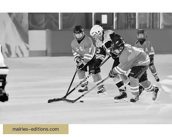 冰球杯赛：激情碰撞，力争冠军！