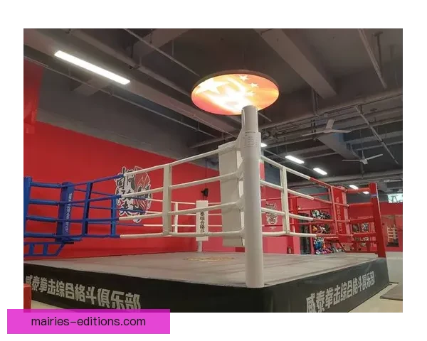 打造史上最激烈拳击挑战赛