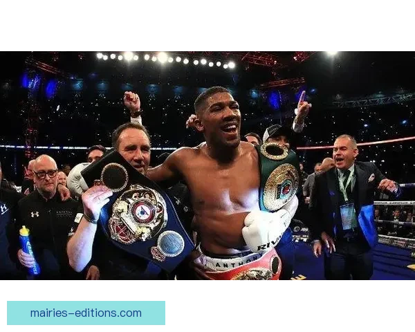 拳击风云：重量级冠军之战揭晓