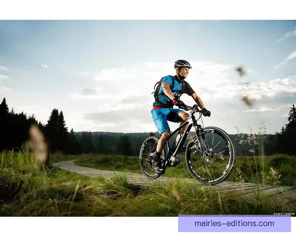 骑行风暴：挑战自行车锦标赛巅峰