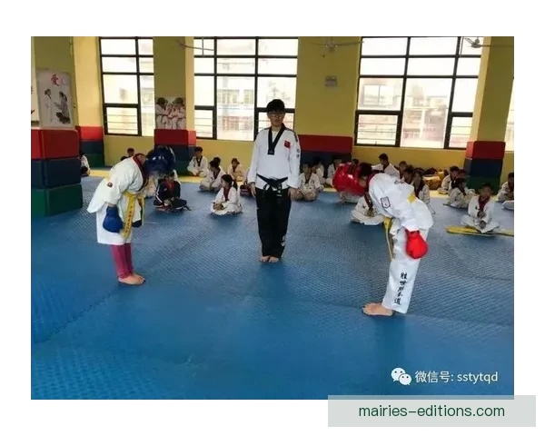 探索跆拳道排名体系的起源与演变