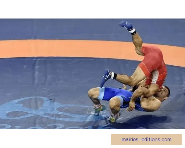 摔跤对战策略与技巧分析及应用指南 摔跤对战策略与技巧分析及应用指南