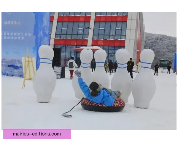 极速冰雪狂欢：2023滑雪锦标赛风云再起