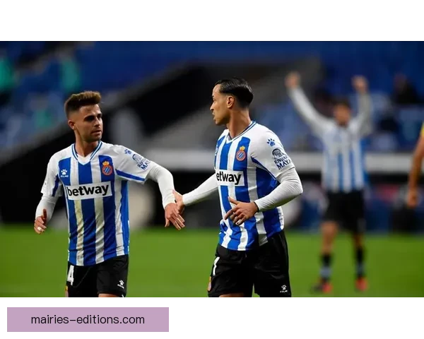 橄榄球投注技巧大揭秘，助你在比赛中脱颖而出