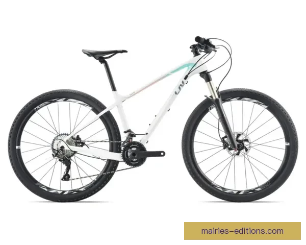 解密山地车盘口，揭秘魅力与技术