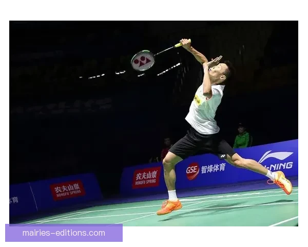 羽毛球高手对决：挑战赛的较量和技艺的升华