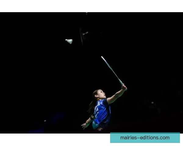 羽毛球盛宴：挑战高手，争夺荣耀